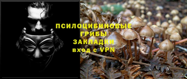винт Абинск